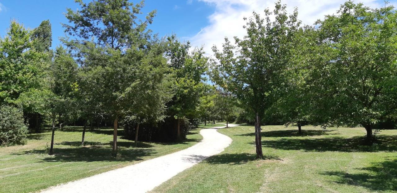 Charmant Logement Avec Piscine Bergerac Dış mekan fotoğraf